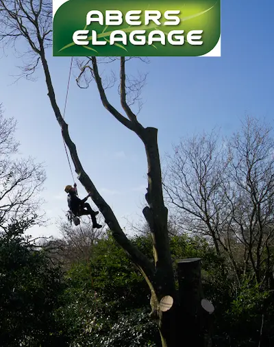 Abers Elagage