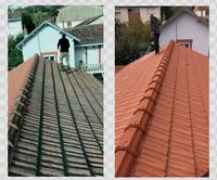 Couverture Francois
