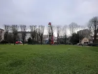 Arboritum-service d'Élagage