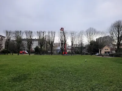 Arboritum-service d'Élagage