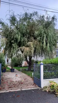 M.nairat Devis Gratuit en 24 Heures. Elagueur. Élagage D’arbres, Taillage de Haies, Espaces Verts.