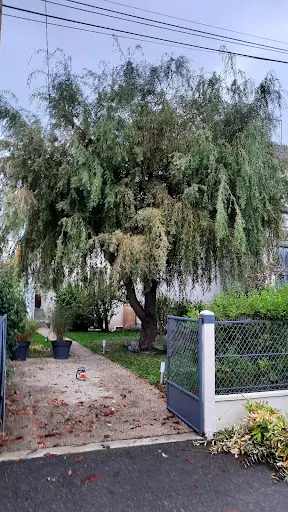 M.nairat Devis Gratuit en 24 Heures. Elagueur. Élagage D’arbres, Taillage de Haies, Espaces Verts.