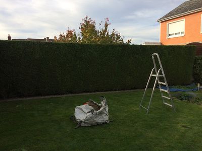 Artois Concept Paysage - Paysagiste Cmonjardinier
