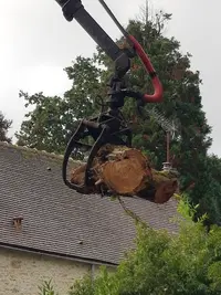 l'Arb aux 4 Sabots