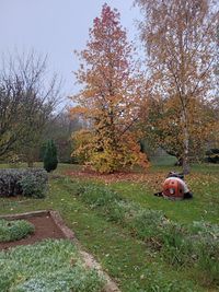Jardin et Création