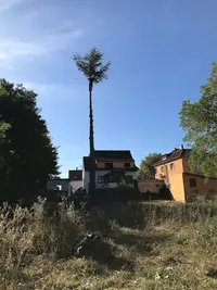 A.t Élagage