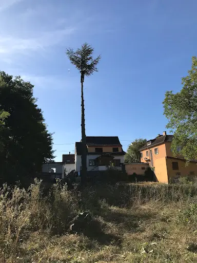 A.t Élagage