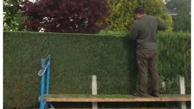 Espaces Verts 45 - Elagage | Abattage | Elagueur Paysagiste