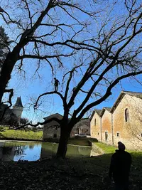 B.e.l.bois Energie Limousin