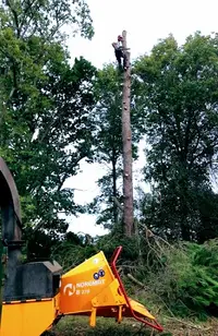 Élagueur Grimpeur 89 Yonne Michelet Yohann Paysagiste Icaunais Urgence Arbres Dangereux 24h24