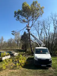 Sos Elagueur 89 Joigny