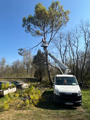 Sos Elagueur 89 Joigny