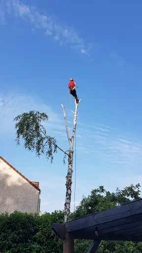 Arbre en Ciel