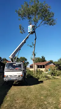 Laffont Service Élagage - Ramonage - Démoussage