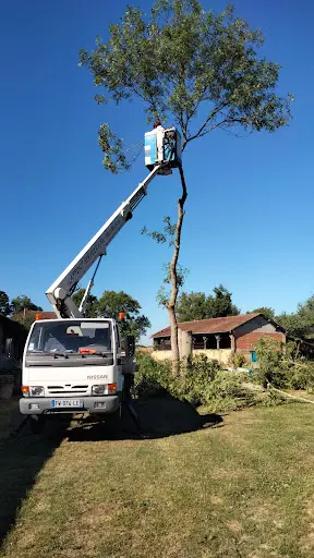 Laffont Service Élagage - Ramonage - Démoussage