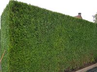 Les Jardins de Maxade