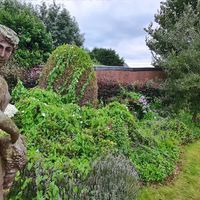 Votre Jardin Mon Quotidien