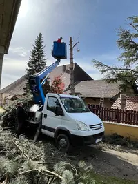 Nc Élagage