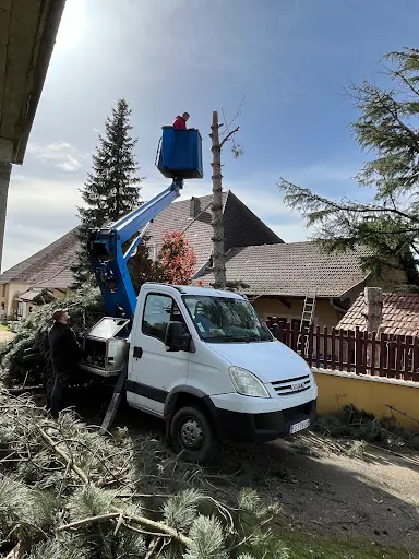 Nc Élagage