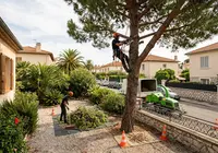 Espaces Verts et Elagage Nice