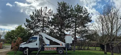 Élagage Troyes Aube – Entretien Espaces Verts