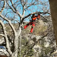 Ecrins des Arbres