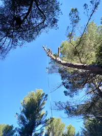 Les Jardins de Mirabelle