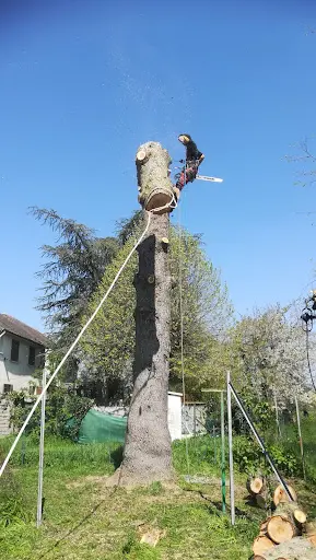 Adv Elagage 77 Élagueur Coulommiers