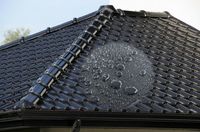 Mayerrenovpro