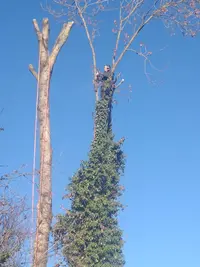 Arbres et Jardins de Champagne
