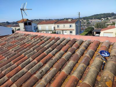 Intemporelle Couverture
