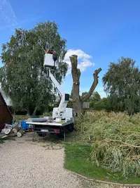 Elagueur Grimpeur la Pépinière du Bontemps - Élagage, Abattage et Entretien Parcs et Jardins