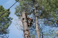 Les Élagueurs Ardéchois : Elagage Débroussaillage Ardèche
