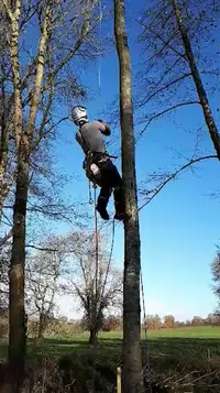 Excellence Élagage