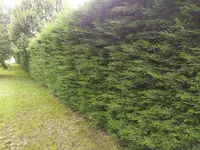 Ph Cuquel Services Jardins