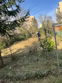 Cottet Verts du Bélinois