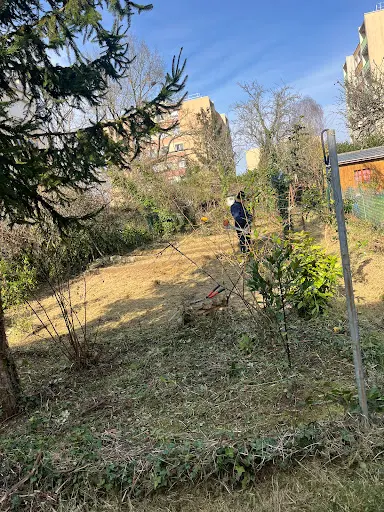 Cottet Verts du Bélinois