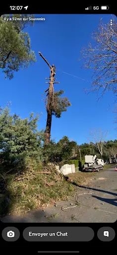 R Élagage 24 /elagueur Grimpeur/paysagiste/jardinier