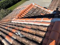 Artisan Couvreur Zingueur Charpentier Bauer Rénovation Auvillar 82 Réparation Changement Nettoyage Toiture 82