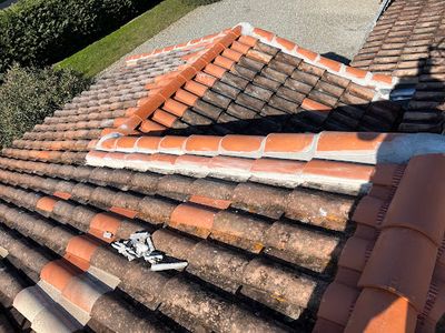 Artisan Couvreur Zingueur Charpentier Bauer Rénovation Auvillar 82 Réparation Changement Nettoyage Toiture 82