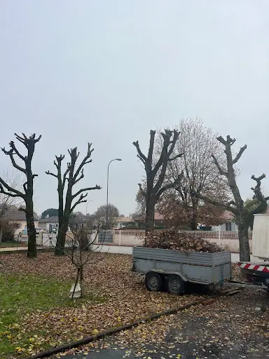 Baptiste Espaces Verts 82