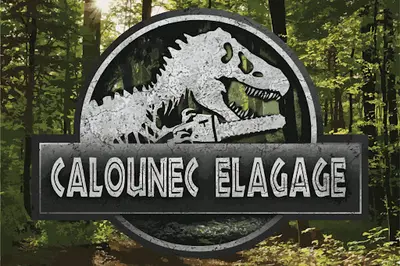 Mr Calounec Élagage Abattage Entretien des Espaces Verts