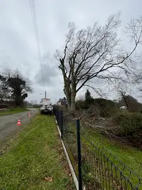 Lefebvre Élagage