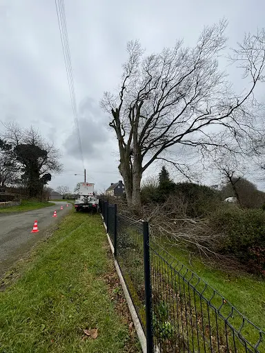 Lefebvre Élagage