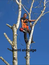 Barri Elagage Abatage Taille