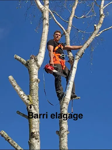 Barri Elagage Abatage Taille