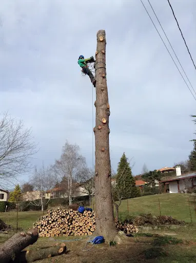 Ariège Arboriste, Entreprise d'Élagage