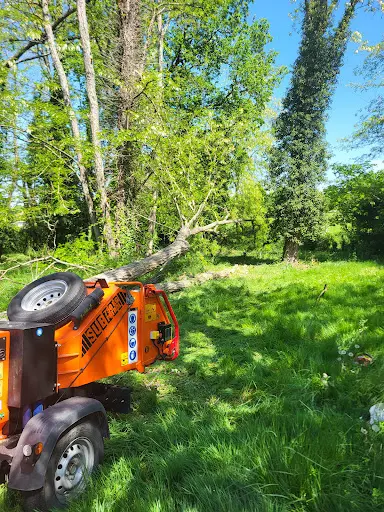 E.s.c Jardin Elagage