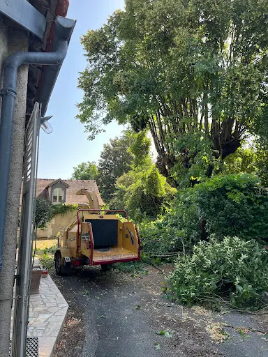 Chaumé Yannick