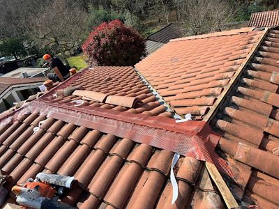 Am Maverick Renovation